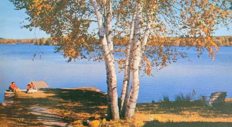 Vagabond Resort - Vintage Postcard
